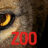 Zoo 1. Sezon 11. ve 12. Bölüm     (Eats, Shoots and Leaves) izle