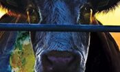 Cowspiracy: The Sustainability Secret