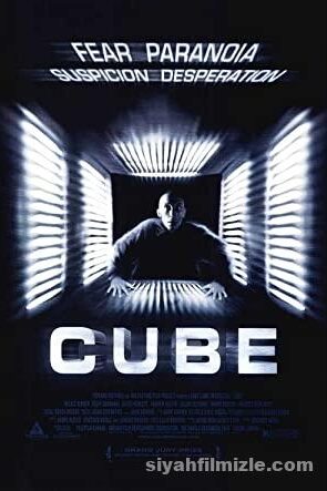 Cube