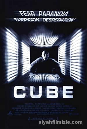 Cube