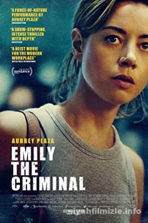 Emily the Criminal