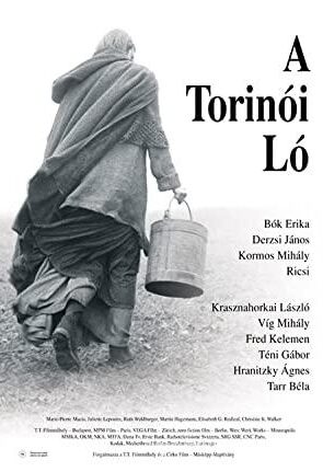 A torinói ló